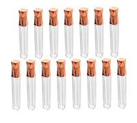 BELLIFFY 15Pcs Tube De Rouge À Lèvres Tube De Brillant À Lèvres Liquide Clair Tache De Lèvre Maquillagebrushset Brillant À Lèvres Tubes De Bricolage Couleur Des Lèvres Tube Vide De Miel