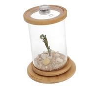BELLIFFY 1ensemble Et Décoratif Aquarium De Bureau avec -Marin Rotatif pour Plantes Accessoire De Bureau Moderne Et