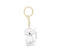 BELLIFFY 2 pièces Porte-clés Collecteur Poils Chien Boîte Transparente pour Souvenirs Poils Animaux Urne Commémorative Compacte et Pratique pour Propriétaires