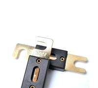 BELLIFFY 5 pièces Fusible Anl Plaqué Or pour Voitures Protection Surintensité Batterie Câblage Facile Installation