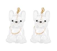 BELLIFFY Boîte de Rangement Transparente pour Poils D’Animaux - Lot de 2 Porte-Clés Médaillons Souvenir pour Chien - Mini Capsule Commémorative Pratique - Accessoire de Collection et