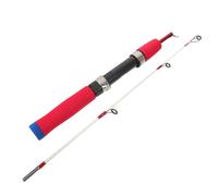 BELLIFFY Canne à Glace Compacte Canne Emmanchement Portable pour Eau Douce et Mer Accessoire Extérieur pour Débutants et Passionnés