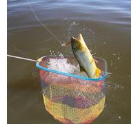 BELLIFFY Filet de Renforcé Aluminium avec Maille Fine Filet de Capture Profond pour Poissons et Crevettes Résistant et Léger Adapté Mer Rivière et Lac Couleur Aléatoire Couleur Aléatoire