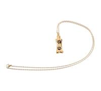BELLIFFY Pendentif Urne pour Cendres De Chien Acier Inoxydable Collier Souvenir Et Élégant pour Garder Les Cendres De Votre Animal Près du Cœur
