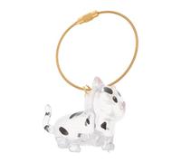 BELLIFFY Porte-Clés de Rangement Transparent pour Poils de Chat Boîte Capsule Souvenir Mini de Chat Collecteur Portable pour Poils D’Animaux Usage Voyage et Domestique