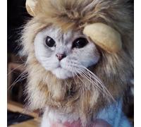 Bello Luna Cheveux de Lion Coiffures pour Petit Chien Chats, Lion Crinière Perruque Chiot Cosplay Costume pour Halloween Noël Fête de Pâques Fête Activité