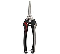 Bellota - Tijera Recolectora (M)