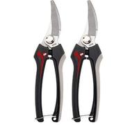 Bellota - Tijera Recolectora (M) (Lot de 2)