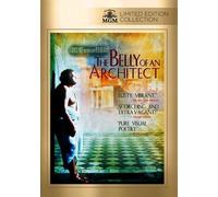 The Belly of an Architect