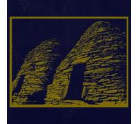 Belonging - Hollow Cells [VINYL]