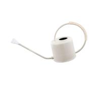 BELOWSYALER Arrosoir pour plante d'intérieur 1300 ml en acier inoxydable avec long bec verseur