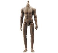 BELOWSYALER Corps musculaire très articulé à l'échelle 1/12 avec articulations douces et texture musculaire réaliste de 15,2 cm pour collectionneur
