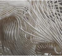 Beltran, John - Everything at Once [Import]