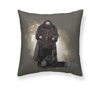 BELUM | Housse de Coussin Harry Potter Taille: 50x50 - Modèle: Hagrid A - Tissu: Half Panama 100% Coton 250 Grs.