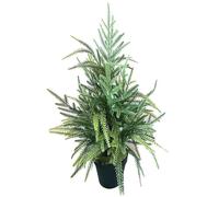 belupai Pin de Norfolk Artificiel, 60 Cm, Faux Sapin de Noël en Pot, Décoration de Table, Faux Cèdre, bonsaï, Tiges de Pin, Décoration pour L'intérieur et L'extérieur de la Maison