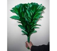 Bemagic007 Bouquet Blooming (5 fleurs) Deluxe - tours de magie, magie, fête magique, farces magiques, etc.