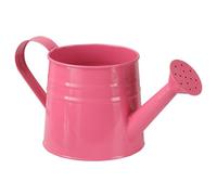 Bemonew Arrosoir en métal pour enfants, pot en fer galvanisé avec long bec, jolie plante de jardin et d'intérieur charmante décoration de bureau (vert)