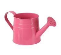 Bemonew Arrosoir en métal pour enfants, pot en fer galvanisé avec long bec, jolie plante de jardin et d'intérieur charmante décoration de bureau (vert)