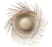 Bemonew Chapeau sombrero mexicain léger en paille avec bord déchiré kaki pour hommes et femmes idéal pour la plage et les fêtes.