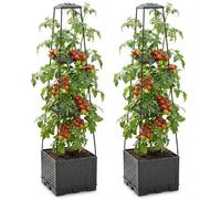 Bemonew Lot de 2 jardinières surélevées avec treillis pour plantes grimpantes - 3 niveaux empilables avec cage - Noir