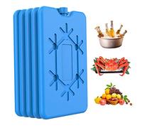 Bemonew Lot de 5 blocs de congélation réutilisables pour glacière de 200 ml - 16,5 x 11 x 1,5 cm - Pour voyage, pique-nique, déjeuner, voiture, école et bureau