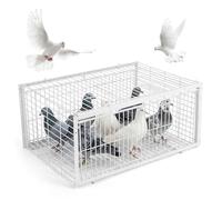 Bemonew Piège à Oiseaux Cage à Pigeons Anti-évasion avec Deux entrées Sens Unique piège Oiseaux Portable pour toits Jardins Ouverts granges et fermes