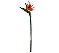 Bemonew Strelitzia Artificielle Oiseau de Paradis Fausse Fleur de Strelitzia en Plastique à Longue Tige pour la décoration intérieure