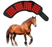 Bemonew Thérapie portable à la lumière rouge pour chevaux, sans fil et rechargeable, tapis de thérapie à la lumière rouge équine avec deux longueurs d'onde pour un soutien quotidien
