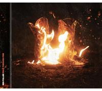Ben Fuller - Walk Through Fire