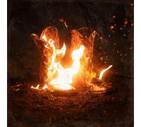 Ben Fuller - Walk Through Fire [Vinyl LP] [VINYL]