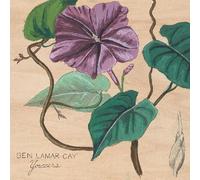 Ben Lamar Gay - Yowzers [Vinyl LP]