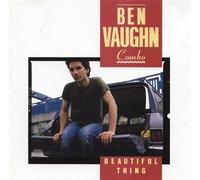 BEN VAUGHN COMBO - beautiful thing LP