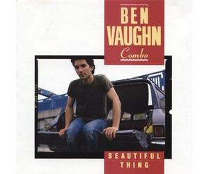 BEN VAUGHN COMBO - beautiful thing LP