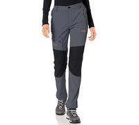 BenBoy Femme Pantalon Ski Imperméable Pantalon Randonnée Softshell Thermique Étanche Coupe-Vent Hiver Pantalon de Montagne Neige Escalade,KZ1672W-Grey-L