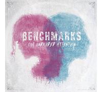 Benchmarks - Our Undivided Attention