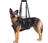BENCMATE Harnais réglable pour chien avec bandes réfléchissantes à coudre
