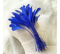 Bene Omnia Lot de 10 plumes de coq naturelles pour chapellerie et bibi 12,7 à 17,8 cm