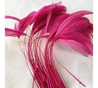 Bene Omnia Lot de 10 plumes de coq naturelles pour chapellerie et bibi - 12,7 à 17,8 cm - Framboise