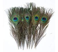Bene Omnia Lot de 10 plumes de paon naturelles vertes pour décoration de mariage, de Noël, d'Halloween, projets d'artisanat (40 à 50 cm)