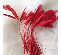 Bene Omnia Lot de 10 plumes naturelles pour chapellerie et bibi - 12,7 à 17,8 cm