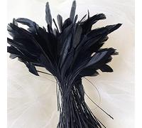 Bene Omnia Lot de 10 plumes naturelles pour chapellerie et bibi - 12,7 à 17,8 cm