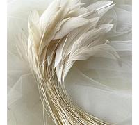 Bene Omnia Lot de 10 plumes naturelles pour chapellerie et bibi - 12,7 à 17,8 cm