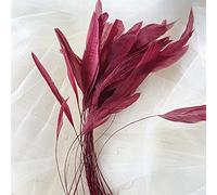 Bene Omnia Lot de 10 plumes naturelles pour chapellerie et bibi - 12,7 à 17,8 cm - Bordeaux