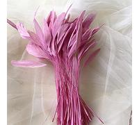 Bene Omnia Lot de 25 plumes naturelles à rayures pour chapellerie et bibi - Plumes de coq teintées pour costume - 12,7 à 17,8 cm (rouge à lèvres #28)