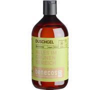 benecos Gel douche bio - Thé vert bio - Tout dans le domaine vert - Végétalien - Plastique recyclé