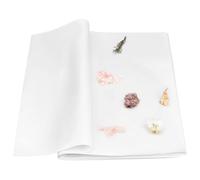 BENECREAT 100 pièce de Papier pour Presse à Fleurs Papier Buvard pour Herbier Artisanal Grand Buvard pour Herbier et Presse à Fleurs 420 x 600mm