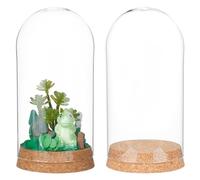 BENECREAT 2 Ensembles 80x160 mm Dôme D'Affichage en Verre avec Base, Dôme Décoratif avec Couvercles en Liège, Pot Cloche pour Plantes à Fleurs, Spécimens, Artisanat, Diamètre Intérieur: 74.5 mm
