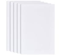 BENECREAT 5 panneau de Mousse Blanche de 6mm Panneau D'Affichage Rectangulaire en Mousse PVC de 30x20cm pour Montage Artisanat Art Afficher Présentation et Projets