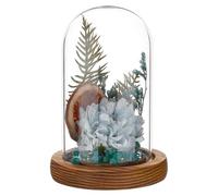 BENECREAT Cloche en Verre avec Base en Bois Dôme D'Exposition en Forme D'Arche de 11.8x6.6cm Complet de Cloche en Verre avec Support en Bois Massif pour la Décoration Intérieure Brun Coco