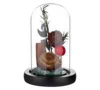 BENECREAT Cloche en Verre avec Base en Bois Dôme D'Exposition en Forme D'Arche de 11.8x6.6cm Complet de Cloche en Verre avec Support en Bois Massif pour la Décoration Intérieure Noir